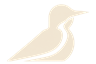 Hornero Software